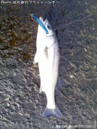 �����Х�