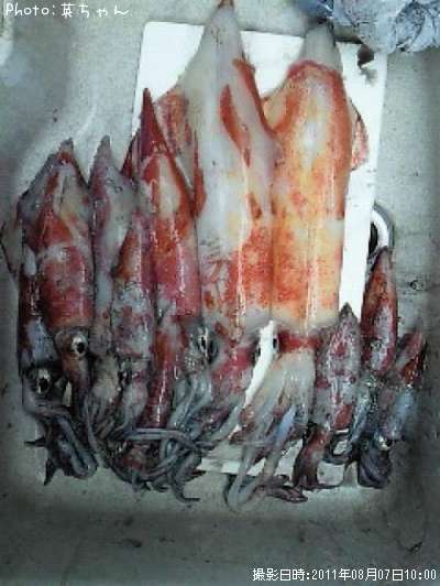 ���󥵥�������