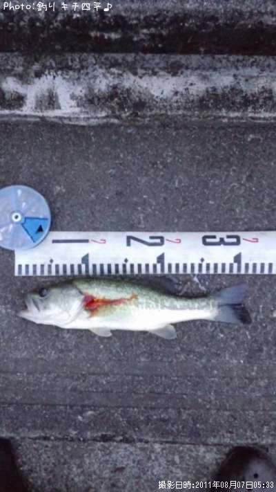 �֥�å��Х�