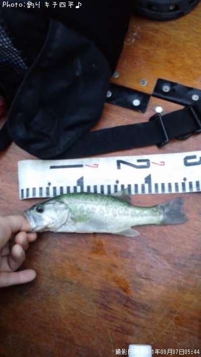 �֥�å��Х�