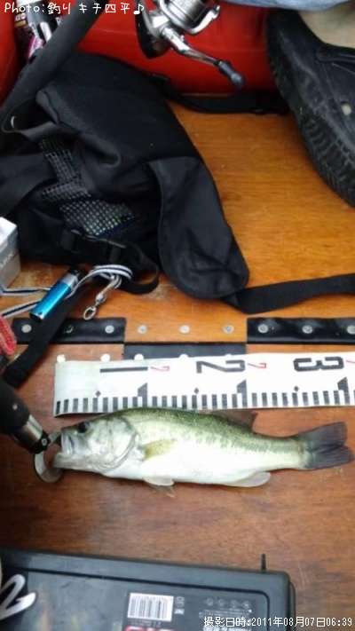 �֥�å��Х�