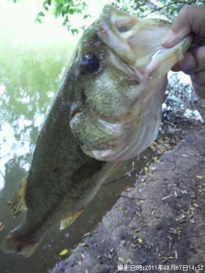 �֥�å��Х�