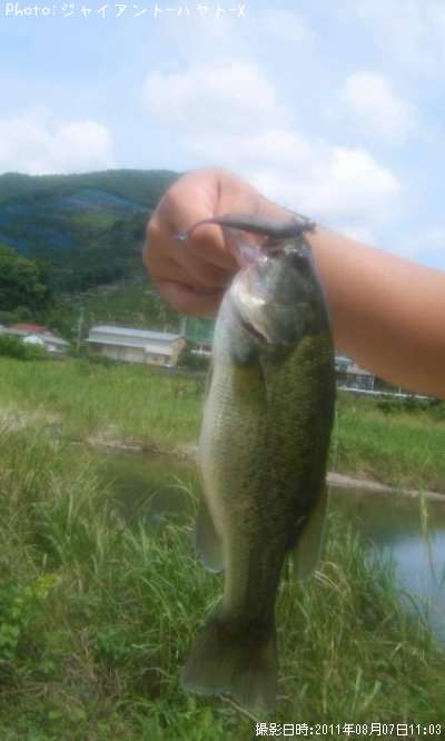 �֥�å��Х�