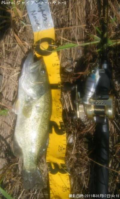 �֥�å��Х�