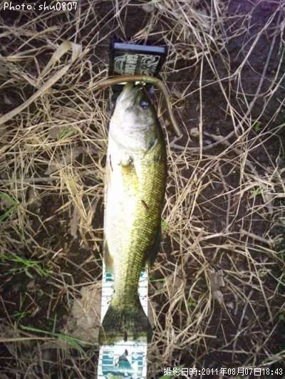 �֥�å��Х�