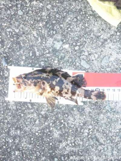 �����Υ���Х�