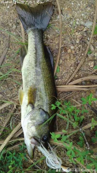 �֥�å��Х�