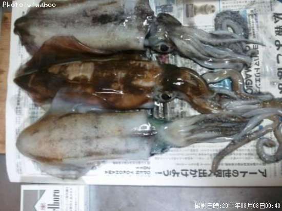 �����ꥤ��