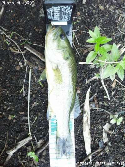 �֥�å��Х�