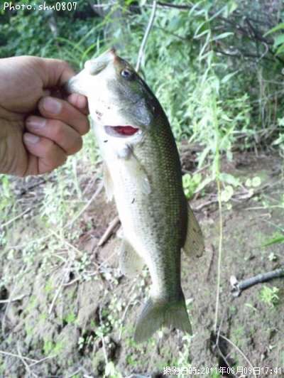 �֥�å��Х�