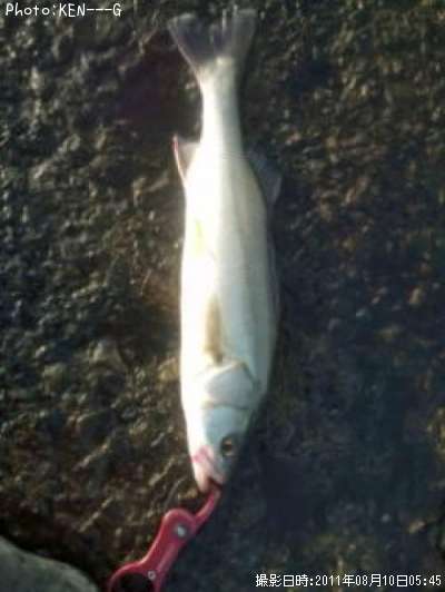 �����Х�