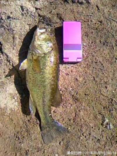 �֥�å��Х�