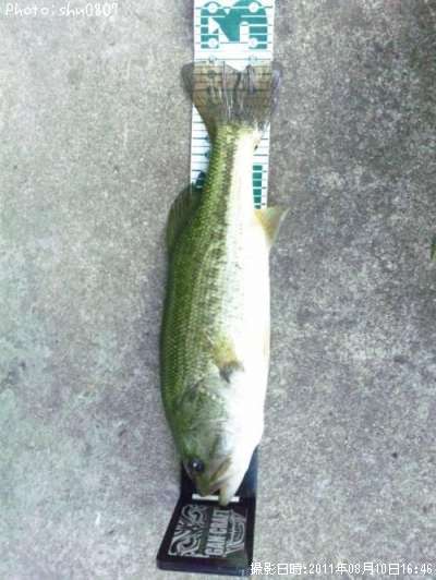 �֥�å��Х�