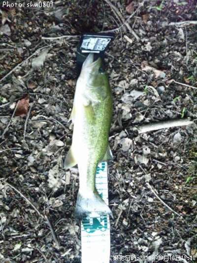 �֥�å��Х�