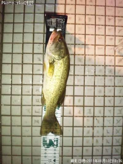 �֥�å��Х�