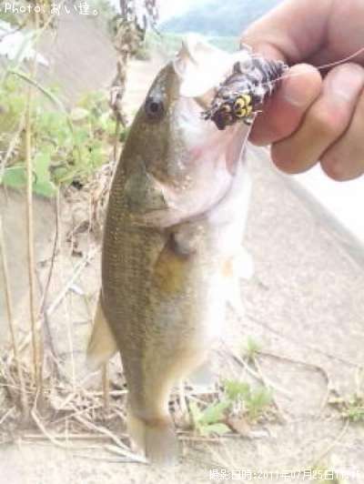 �֥�å��Х�