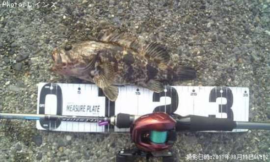 �����Υ���Х�