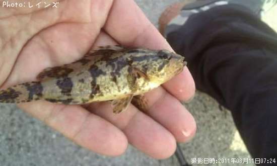 �����Υ���Х�