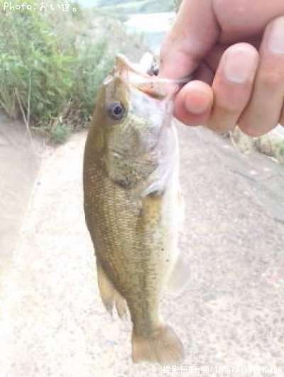 �֥�å��Х�