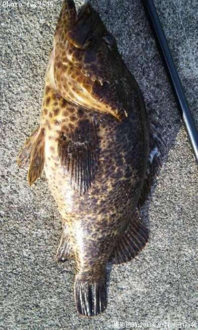 �����Υ���Х�