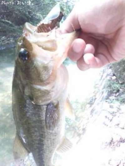 �֥�å��Х�