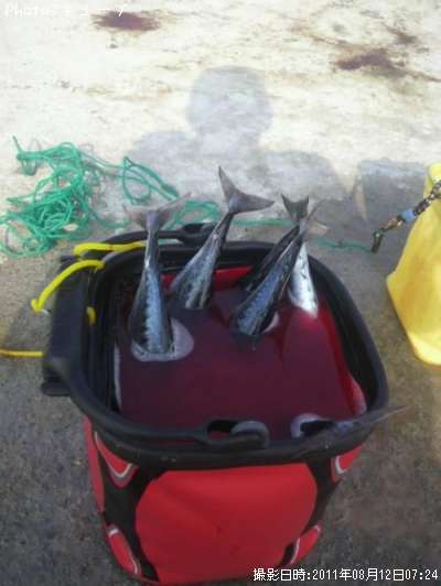 ���������Ĥ�