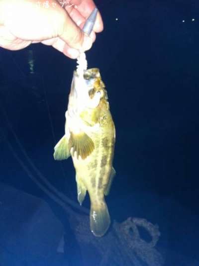 ���ޥ���