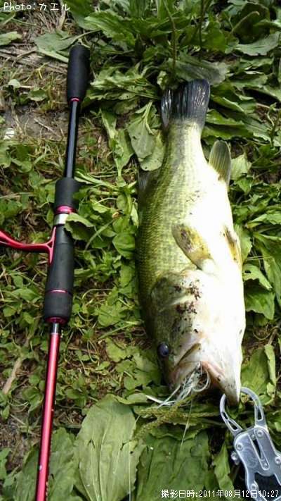 �֥�å��Х�