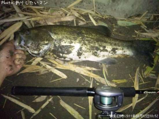 �֥�å��Х�