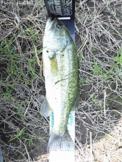 �֥�å��Х�