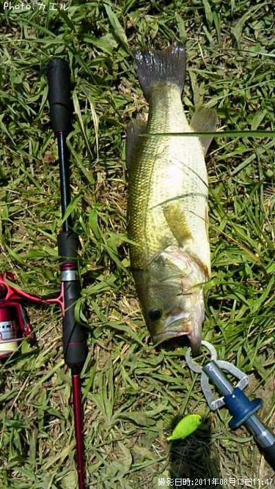 �֥�å��Х�