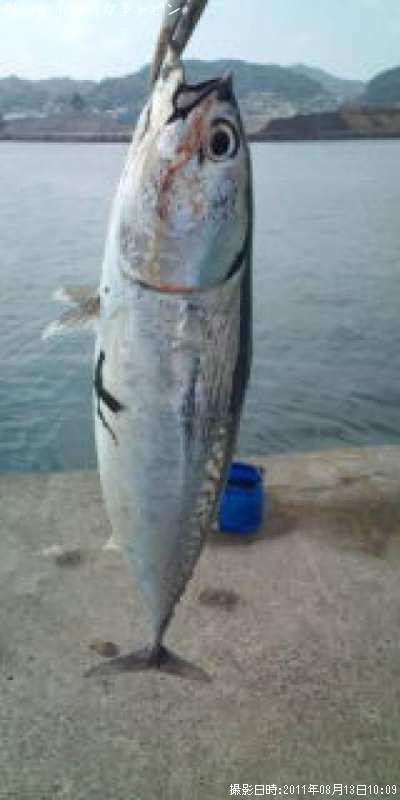 ���������ĥ�