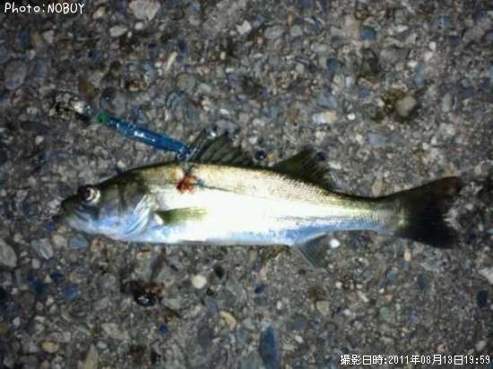 �����Х�