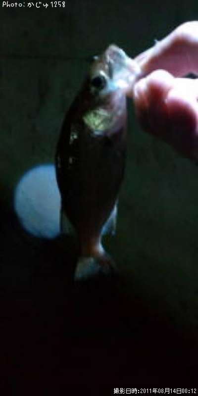 �����Х�