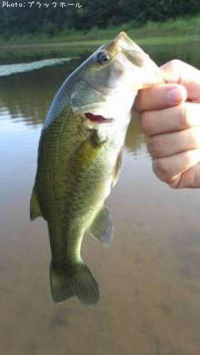 �֥�å��Х�