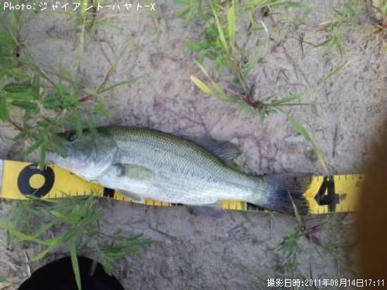 �֥�å��Х�