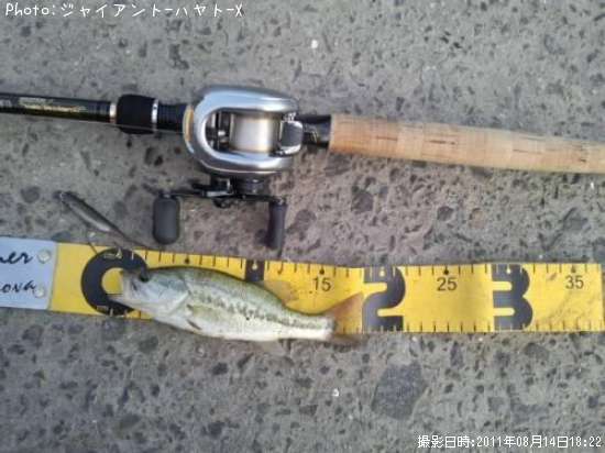 �֥�å��Х�