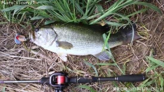 �֥�å��Х�