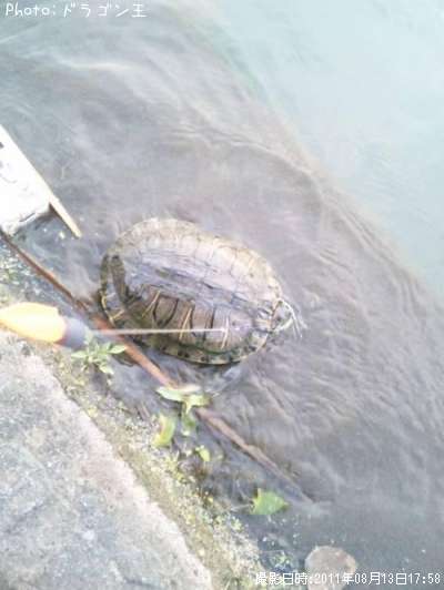 �ּ�����