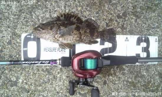 �����Υ���Х�