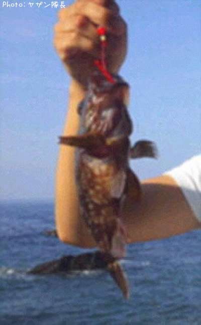 �����Υ���Х�