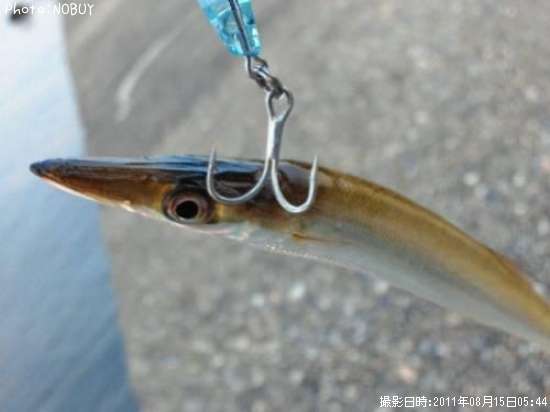 ���ޥ���