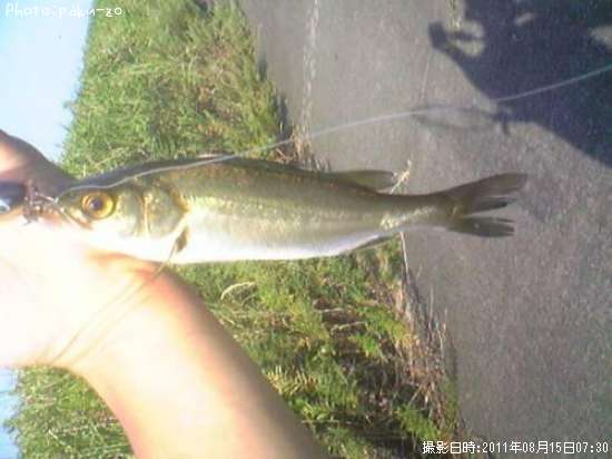 �����Х�