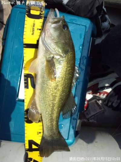 �֥�å��Х�