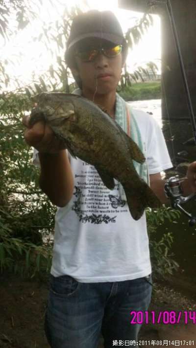 ���⡼��ޥ����Х�