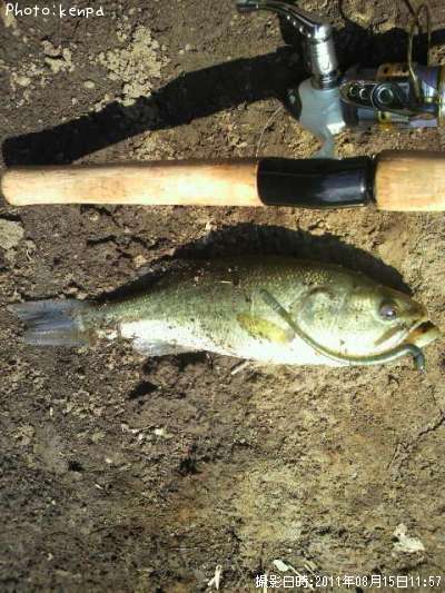 �֥�å��Х�