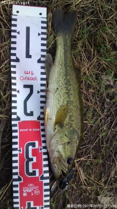 �֥�å��Х�