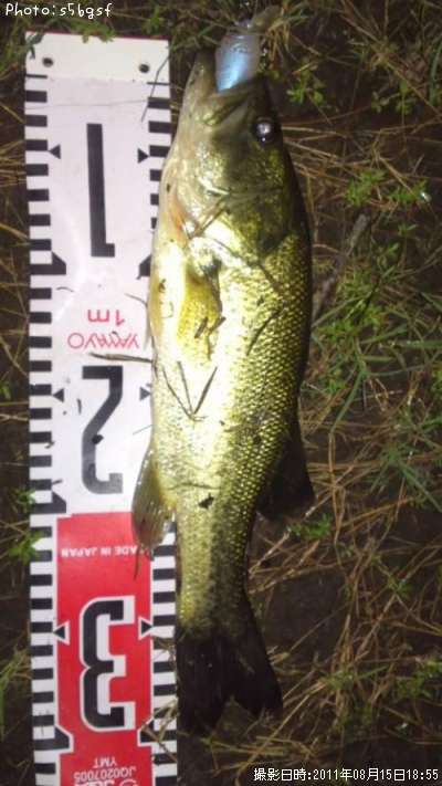 �֥�å��Х�