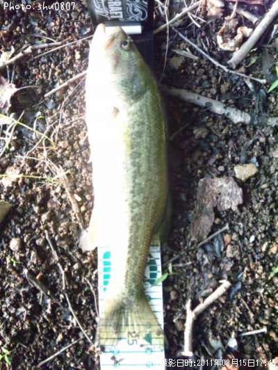 �֥�å��Х�