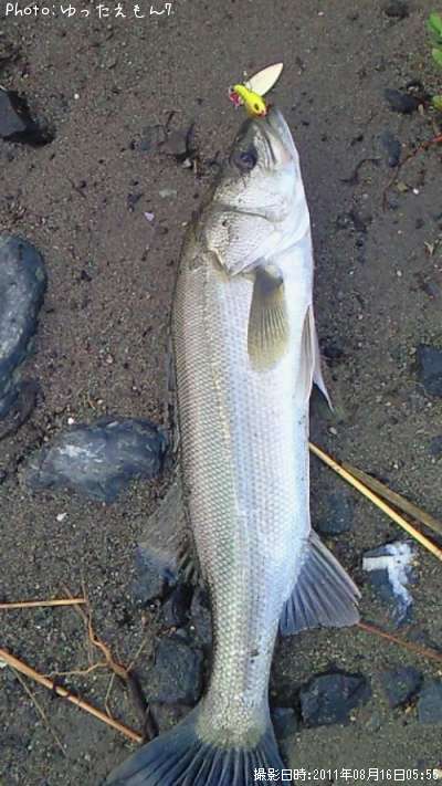 �����Х�